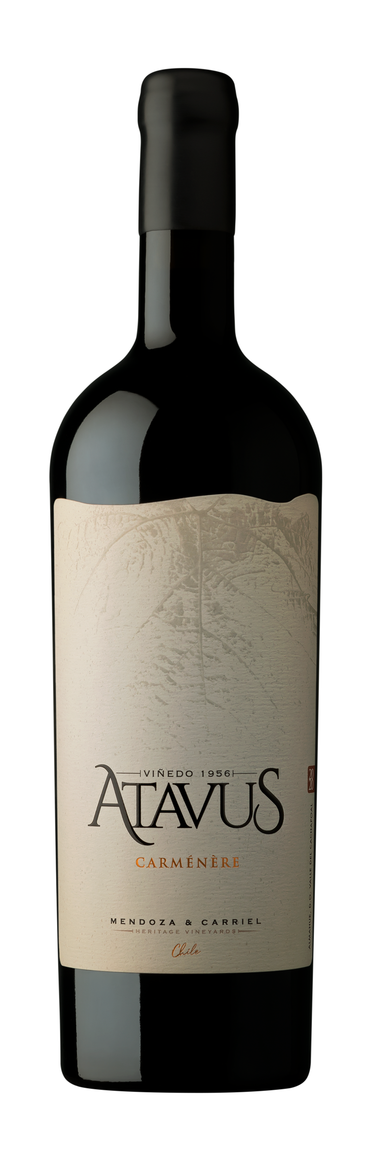 Atavus Carmenere 2023